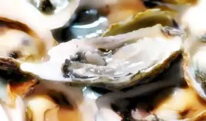 牡蠣の写真