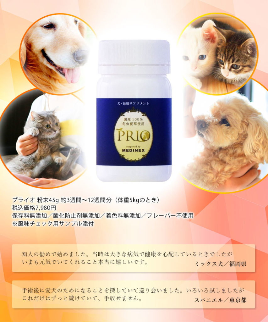 プライオと犬猫とレビュー