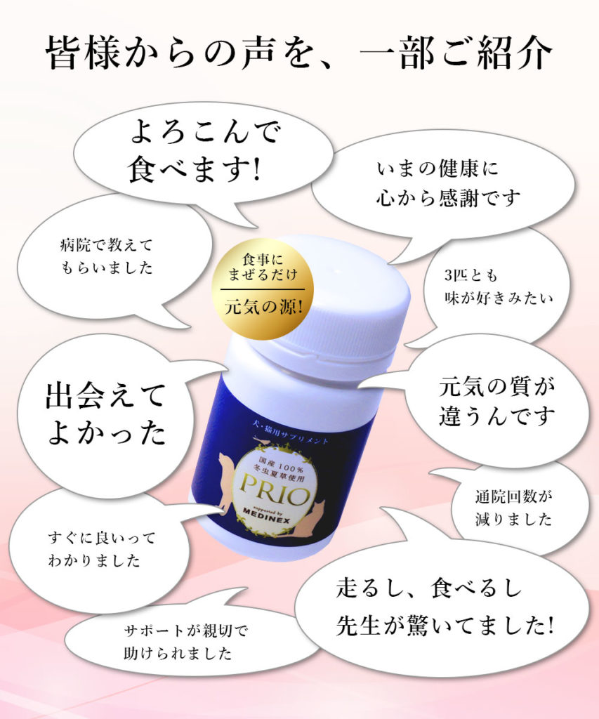 プライオのレビュー