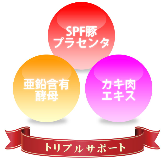 トリプルサポート